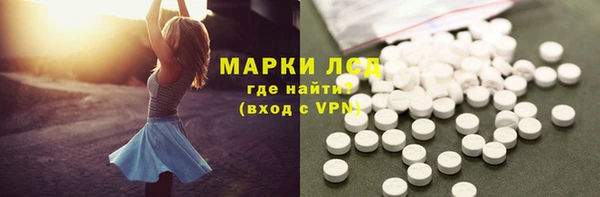гидра Ессентукская