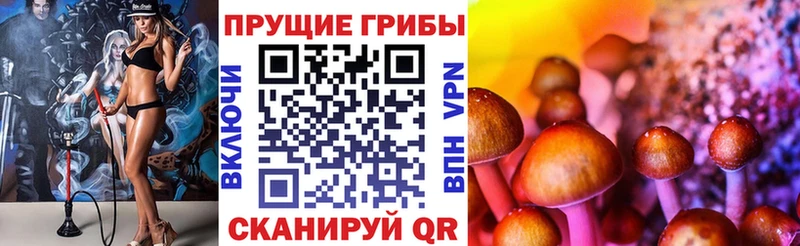 Псилоцибиновые грибы MAGIC MUSHROOMS  Ясный 